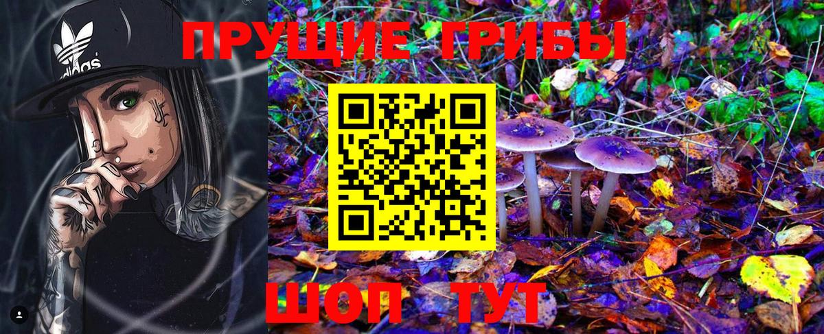 Псилоцибиновые грибы мицелий  Псилоцибиновые грибы Psilocybe  Стрежевой  Вход с VPN 